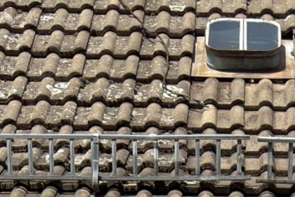 Bild 4 von Atelier Seemann