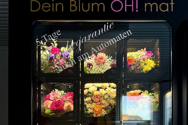 Bild 3 von decorblume